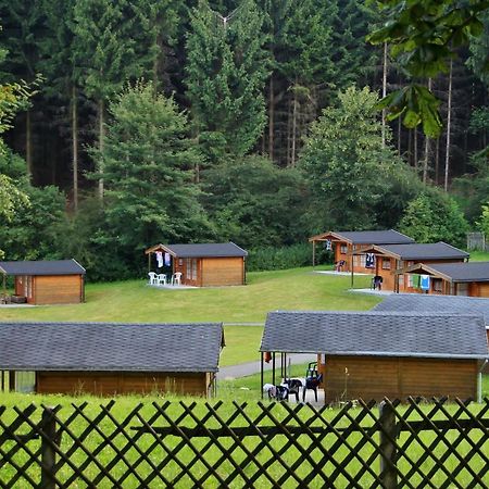 Zinipi Retreat Gelenau "Eber" Villa Wiltzsch Dış mekan fotoğraf
