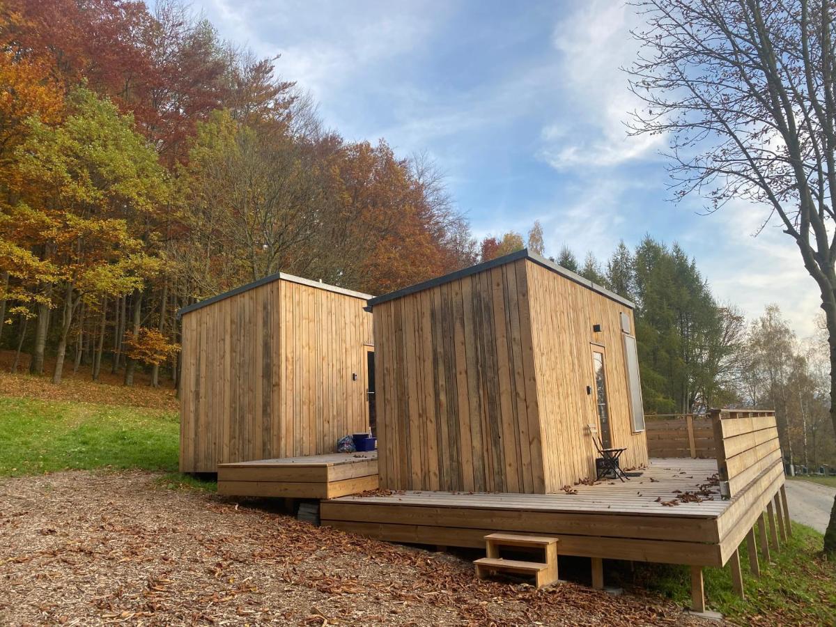 Zinipi Retreat Gelenau "Eber" Villa Wiltzsch Dış mekan fotoğraf